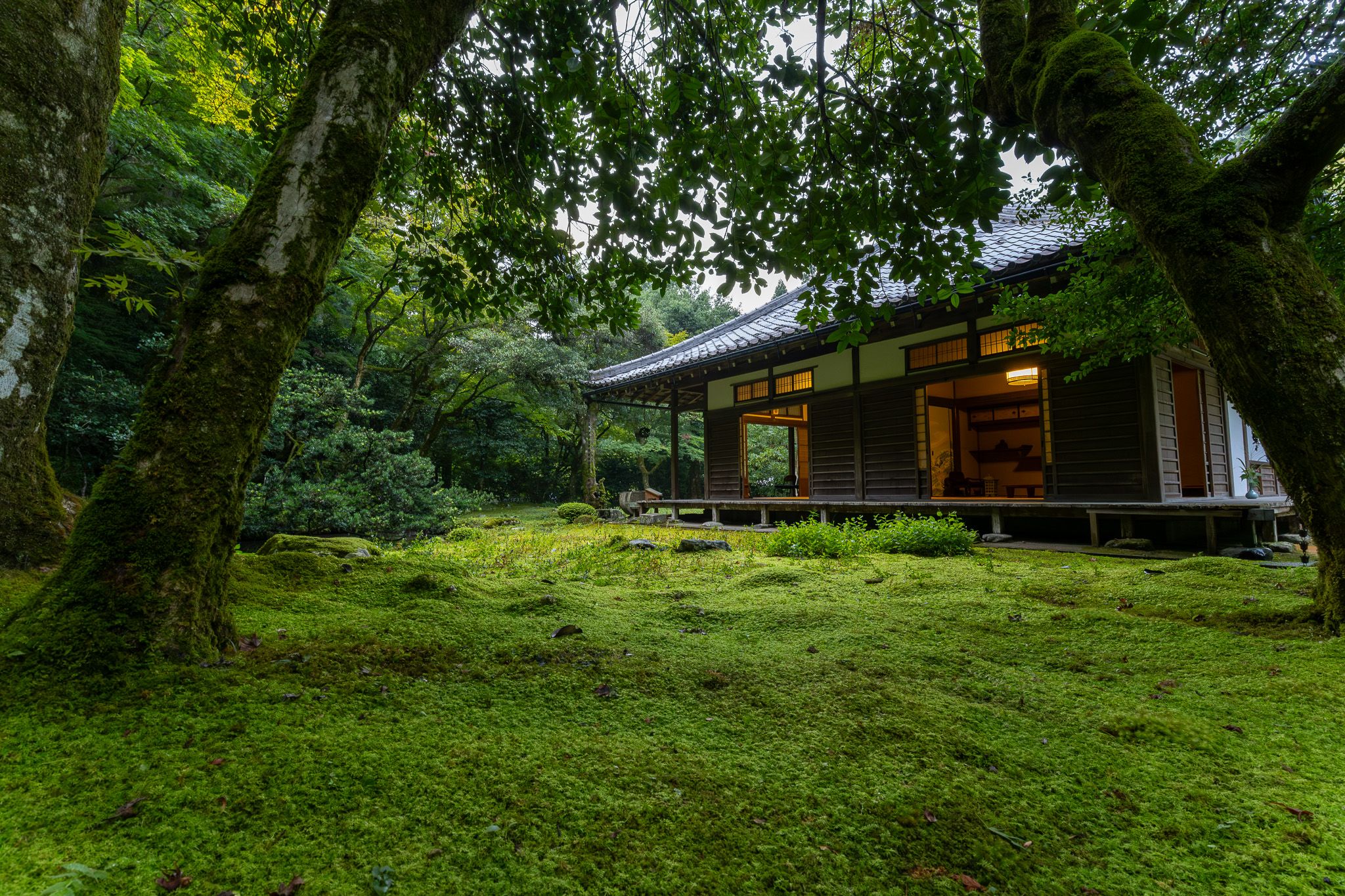 近江孤篷庵 （滋賀県長浜市） 中部の庭園特集「庭～THE GARDEN」