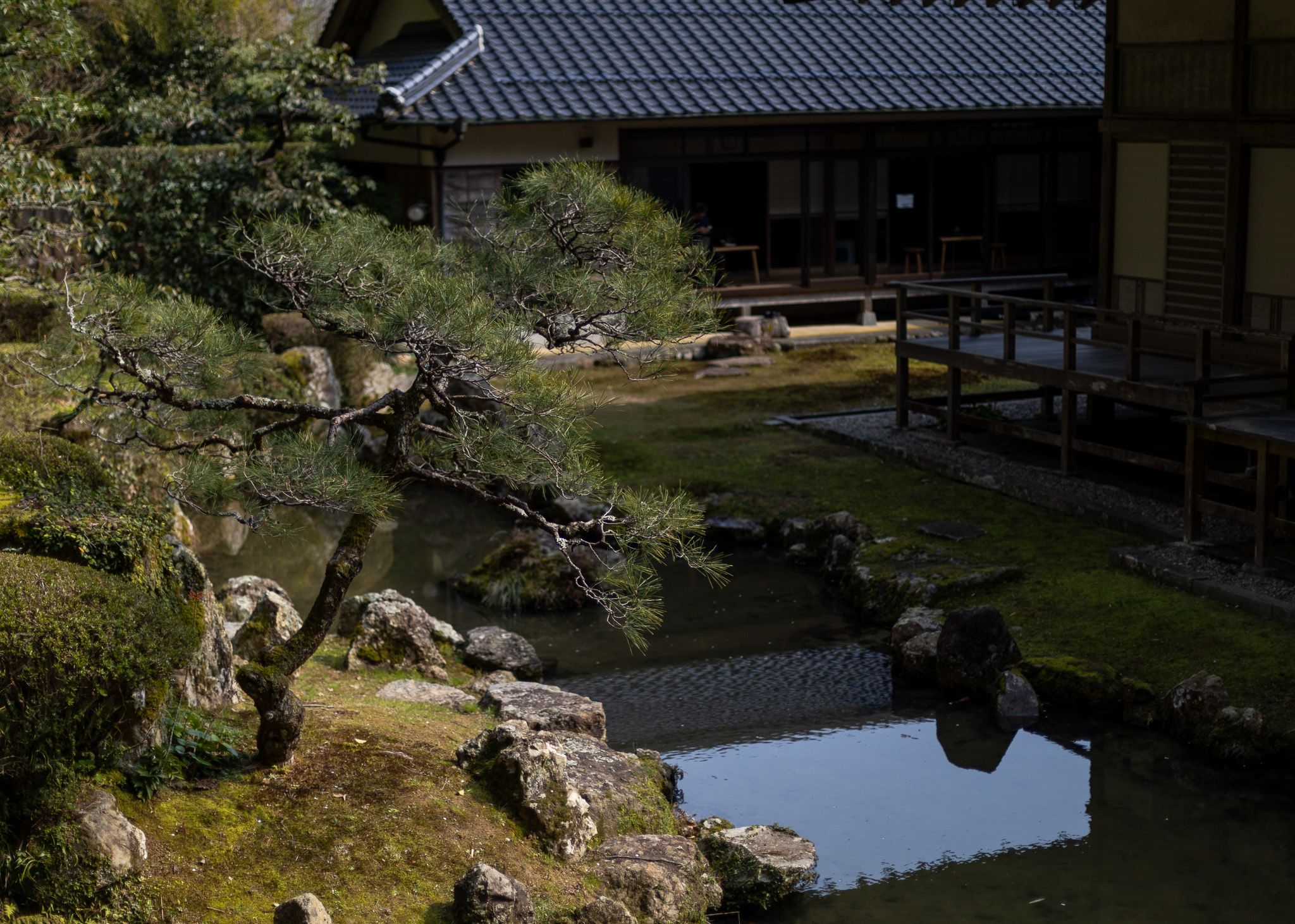 雪舟庭園 （島根県益田市） 中部の庭園特集「庭～THE GARDEN」