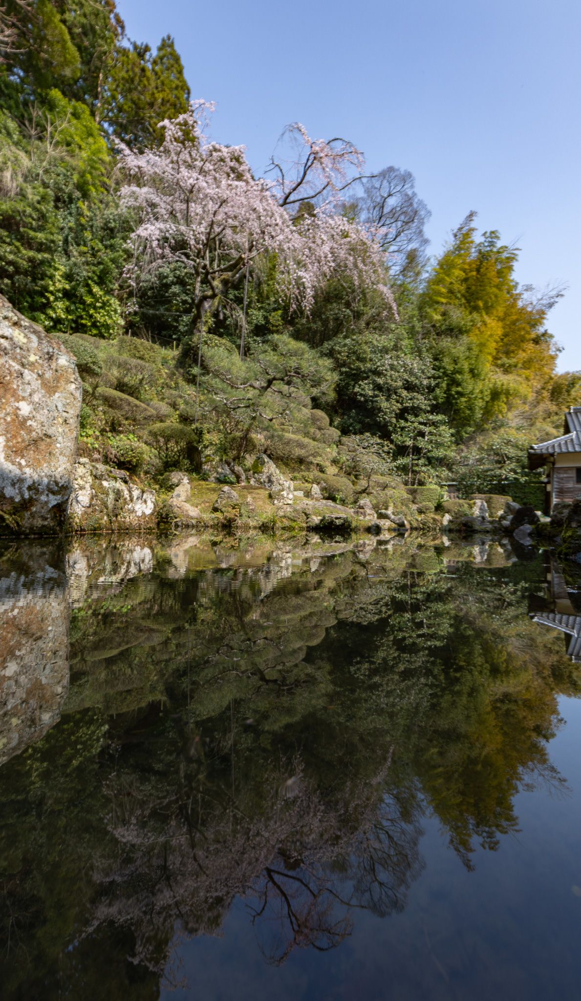 雪舟庭園 （島根県益田市） 中部の庭園特集「庭～THE GARDEN」