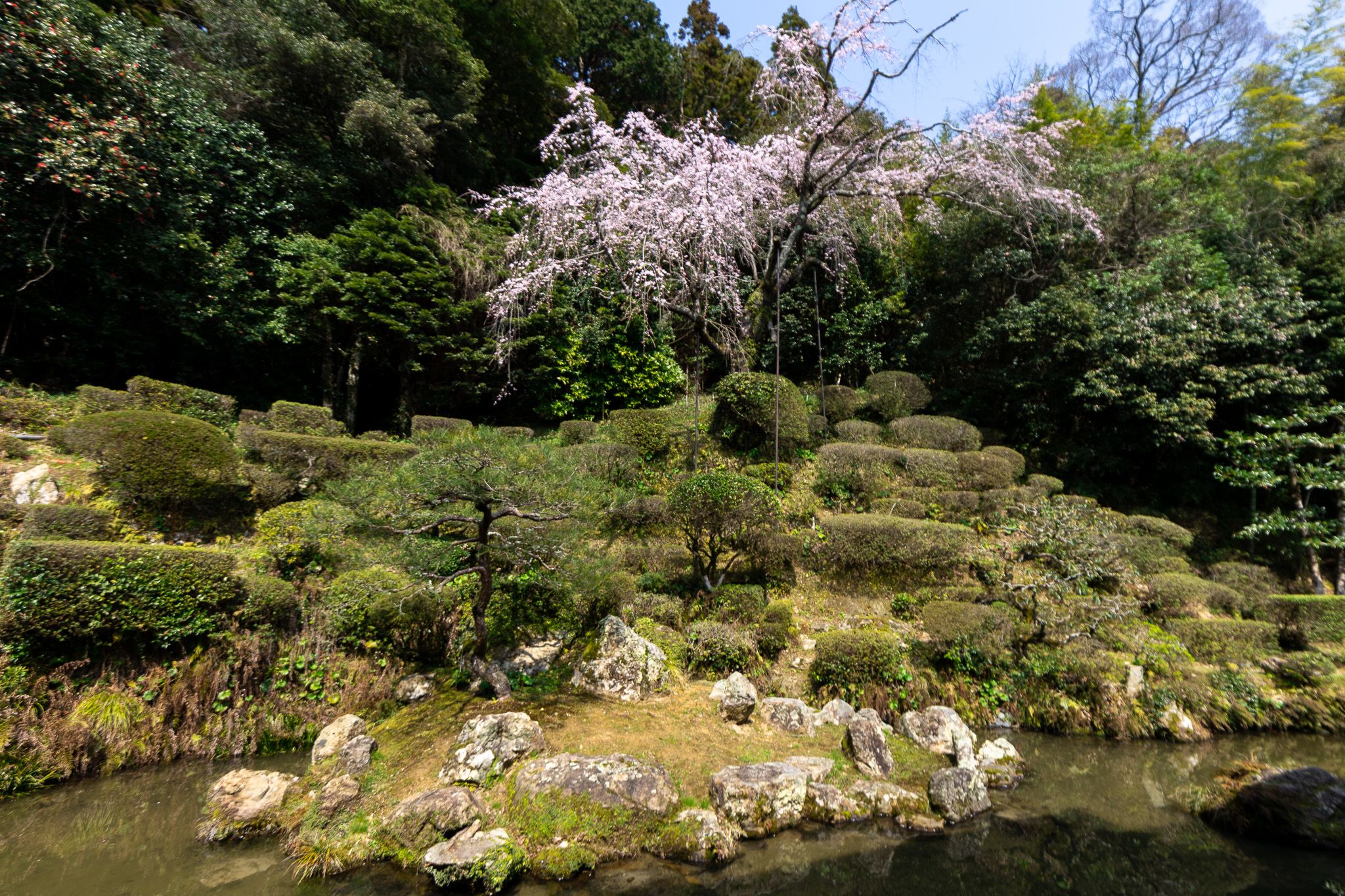 雪舟庭園 （島根県益田市） 中部の庭園特集「庭～THE GARDEN」