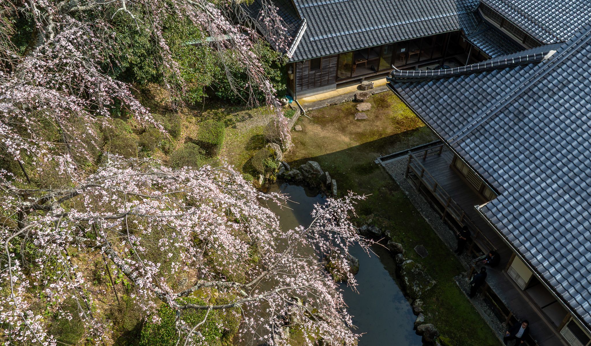 雪舟庭園 （島根県益田市） 中部の庭園特集「庭～THE GARDEN」